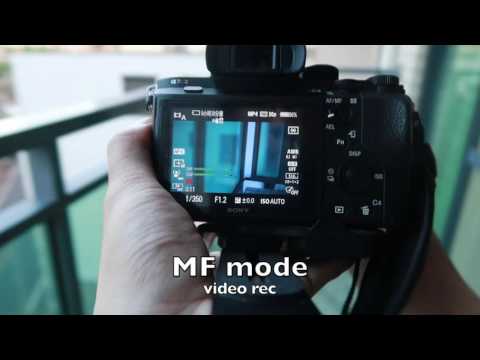 Sony A7rii +Sigma mc-11+ canon 85mm f1.2 L II Auto Focus Speed Test in Video Mode