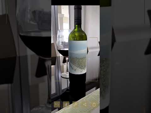 The Owl and the Dust Devil Icon Blend 2019 - Finca Decero - Wine - Vino - Vinho