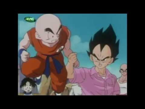 Dragonball Z portugal - Melhores Frases