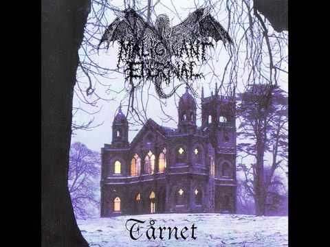 Malignant Eternal - Tarnet
