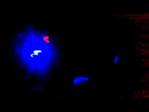 [fenek black edition 01] _ b1 - acidcore  one _ by sKwYz