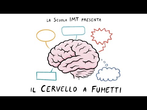 Il cervello a fumetti | 1. Identikit del cervello
