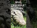 NILE CROCODILE Shorts Safari Disney Disneyworld Crocodile Animals Travel Vlog