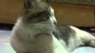 Fauziah Latiff - Sejak bersamamu.