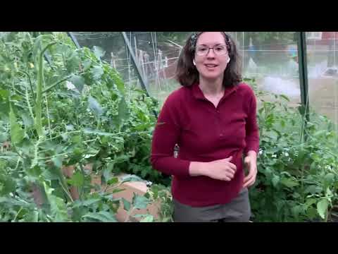 Halvårsavstämning i växthuset hos Blombacken del 1