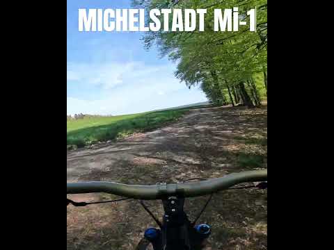 SCHWIMMY SKINNY Schwimmbadtrail Michelstadt Mi-1 #shorts #mtb #ytjeffsy #mountainbike #fun