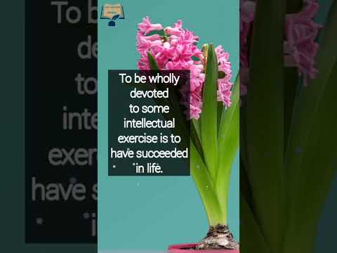 you deserve better quotes || quotes to make you feel better ||  #Shorts #trend @Words20236