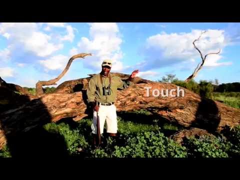 Super Sensory Safari - Mana Pools Nation