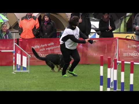 World Championship Agility German Shepherds Kerstin Fechti Quickie v  Lesimo
