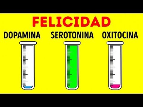 ¿Qué Le Provocan Las Hormonas Al Cuerpo?