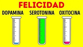 Cómo las hormonas influyen en ti y en tu mente