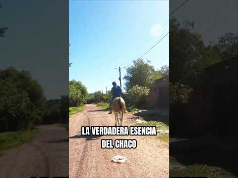 ¿EL LUJO DEL 2026? Mirá este jinete en Fontana 🐎✨