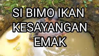 Download lagu EMAK NGAMUK SI BIMO DI KUBEUK² UWA POLO mp3