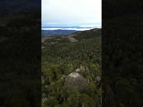 P.N. Nahuelbuta, Angol, Araucanía. Chile