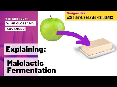 Explaining Malolactic Fermentation for WSET Levels 3 and 4