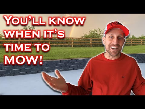 Start Mowing Your Lawn in Spring at the RIGHT Time!