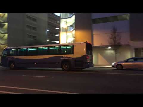 Gainesville RTS: 2001 Nova Bus RTS-06 (82VN) NIS