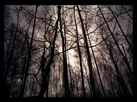 Vytautas Miškinis. "Oi šąla, pašalnojo"