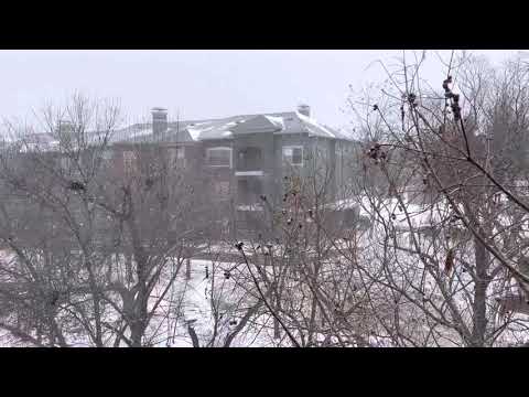 02/14/2021 Snowing in Dallas!