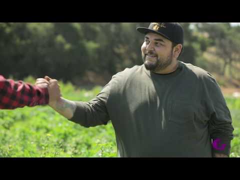 download lagu mp3 mp4 Grilled Sugar Snap Peas, download lagu Grilled Sugar Snap Peas gratis, unduh video klip Grilled Sugar Snap Peas