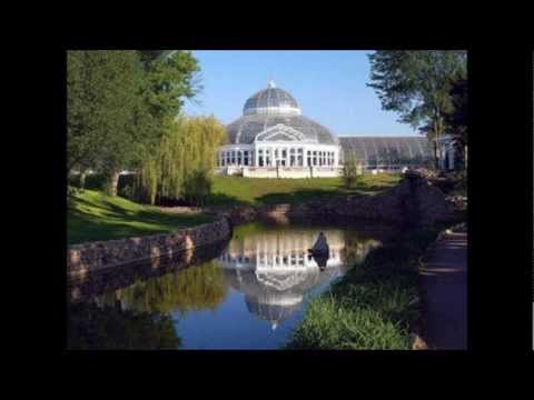 The Onion Radio News - Ducks Only Interested in Area Man's Bread