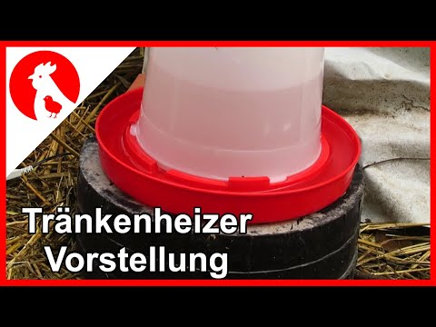 019 - 4 Tränkenwärmer für den Wintertest - Jensman and the Huhns🐔 Tränkenheizer test
