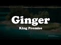 King Promise - Ginger(Lyrics) Video
