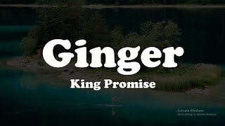 King Promise - Ginger(Lyrics) Video
