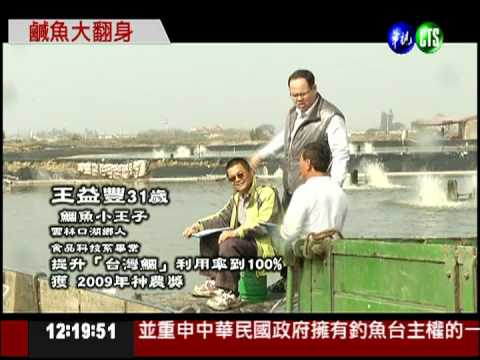 靠萃取膠原蛋白 吳郭魚大翻身