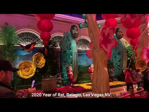 Las Vegas Outcall Massage