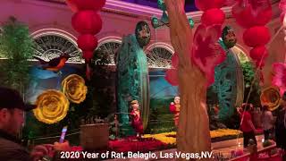 Las Vegas Outcall Massage