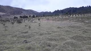 La Herrera lagoon wetland with the support of the Environment Youth Network