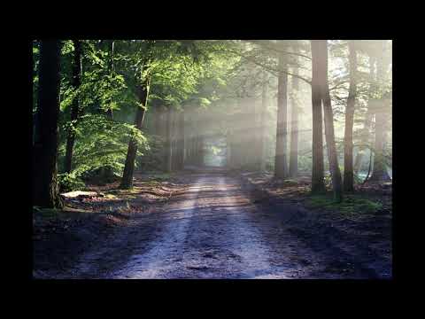 Art of Silence V2 - Uniq (Free No Copyright Vlog Background Ambient Music)