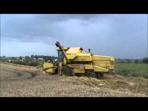 Loonw Vanacker - Watou