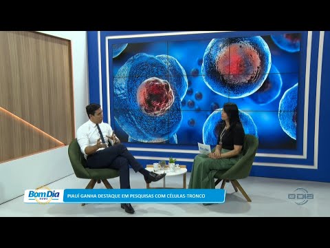 Piauí ganha destaque em pesquisas com células-tronco 13 01 2023