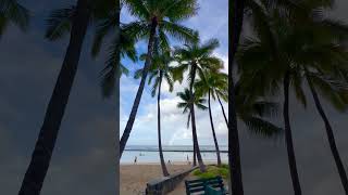 30秒で味わう天国！オアフ島の絶景ビーチ旅｜Hawaii Oahu Travel #shorts