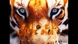 Miley Cyrus - Tiger Dreams (Audio)