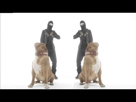 HAZEY - IF RAP DONT WORK (music video)