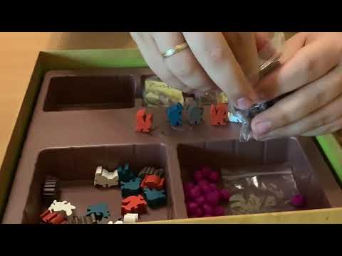 Everdell - Az Örökfa Árnyékában Unboxing - Mit Játsszunk?