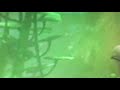 Finding Nemo Filthy Tank Scene
