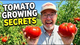 How to Grow Tomatoes Zone 8a: Do THIS Now for a Huge Harvest (Fertilize, Weed, Prune)