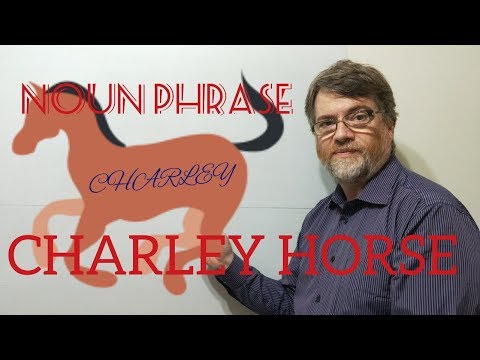 English Tutor Nick P Noun Phrase (141) Charley Horse
