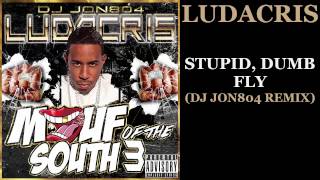Ludacris - Stupid, Dumb, Fly (DJ Jon804 Remix)