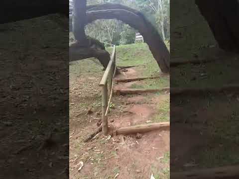 FÉRIAS EM MANDURI #horto florestal de manduri #manduri #férias #viajando#shorts #pula pula #laser
