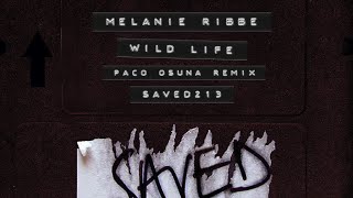 Melanie Ribbe - Wild Life (Paco Osuna Extended Mix) video