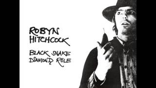 Robyn Hitchcock★I Watch The Cars