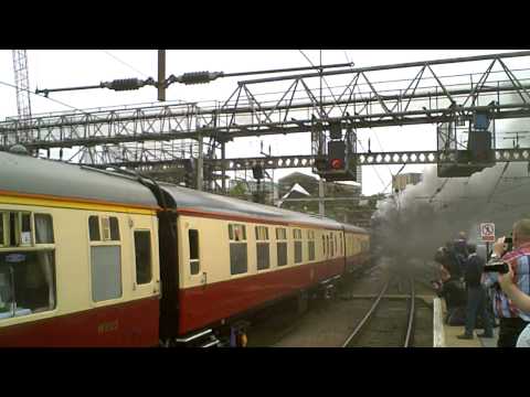 Bittern and The Ebor Streak (Watch in HD)