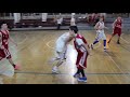 Basketball Highlights David Nikolic
