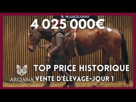 Top Price J1 - N°1 : 4 025 000E - PLACE DU CARROUSEL - Vente Arqana d'Elevage 2023