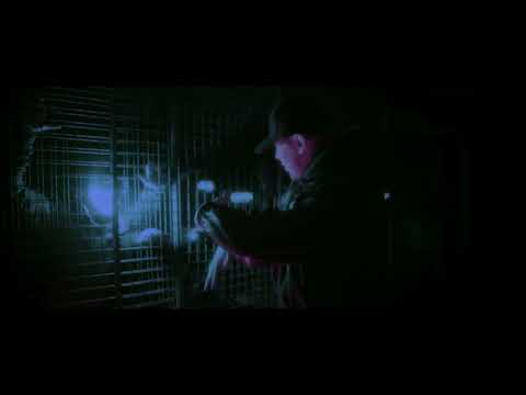 2T4 / KACZOR BRS - SVKA